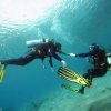   Coral Sea Divers ()