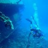   Coral Sea Divers ()